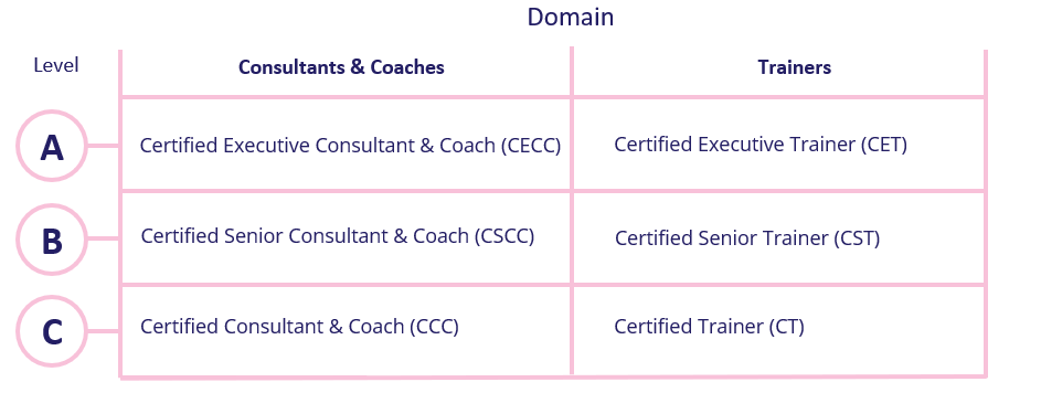 CCT-certificate options described in a table